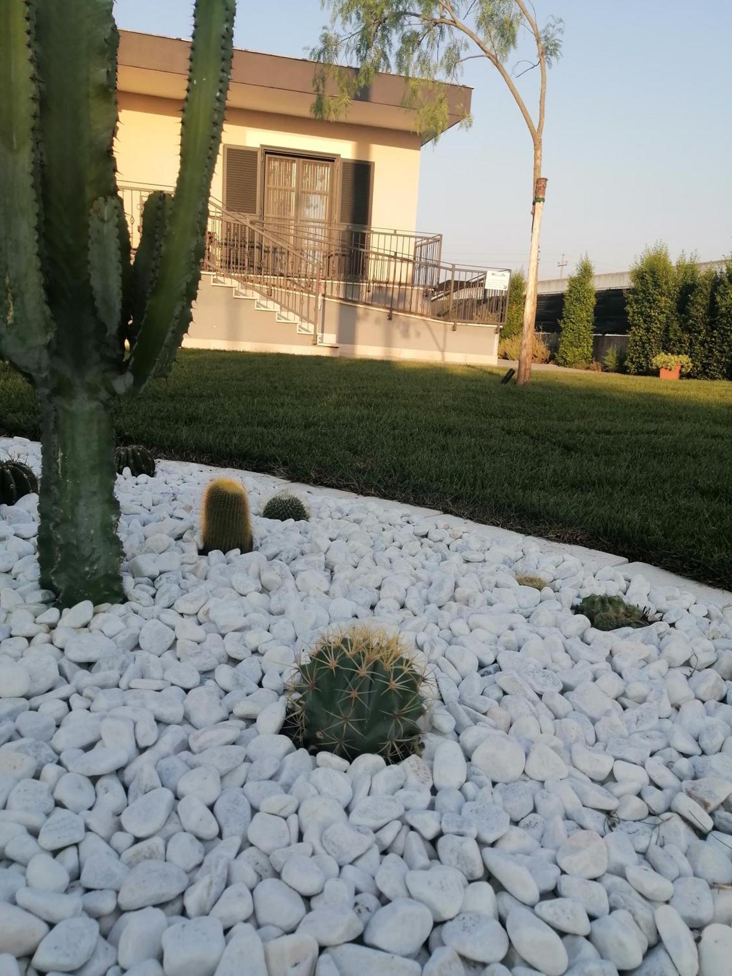 La Casa Del Borgo-Intero Appartamento ลาตินา ภายนอก รูปภาพ